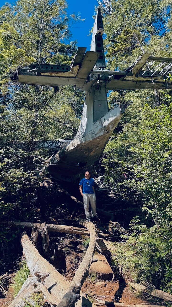 Rainforest Boardwalks