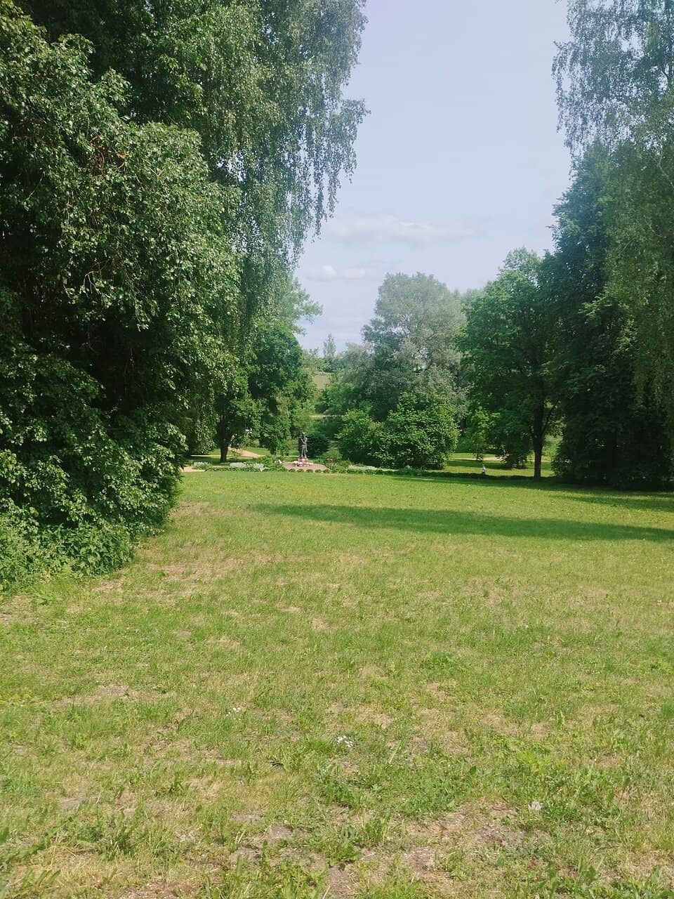 Vertical photo
