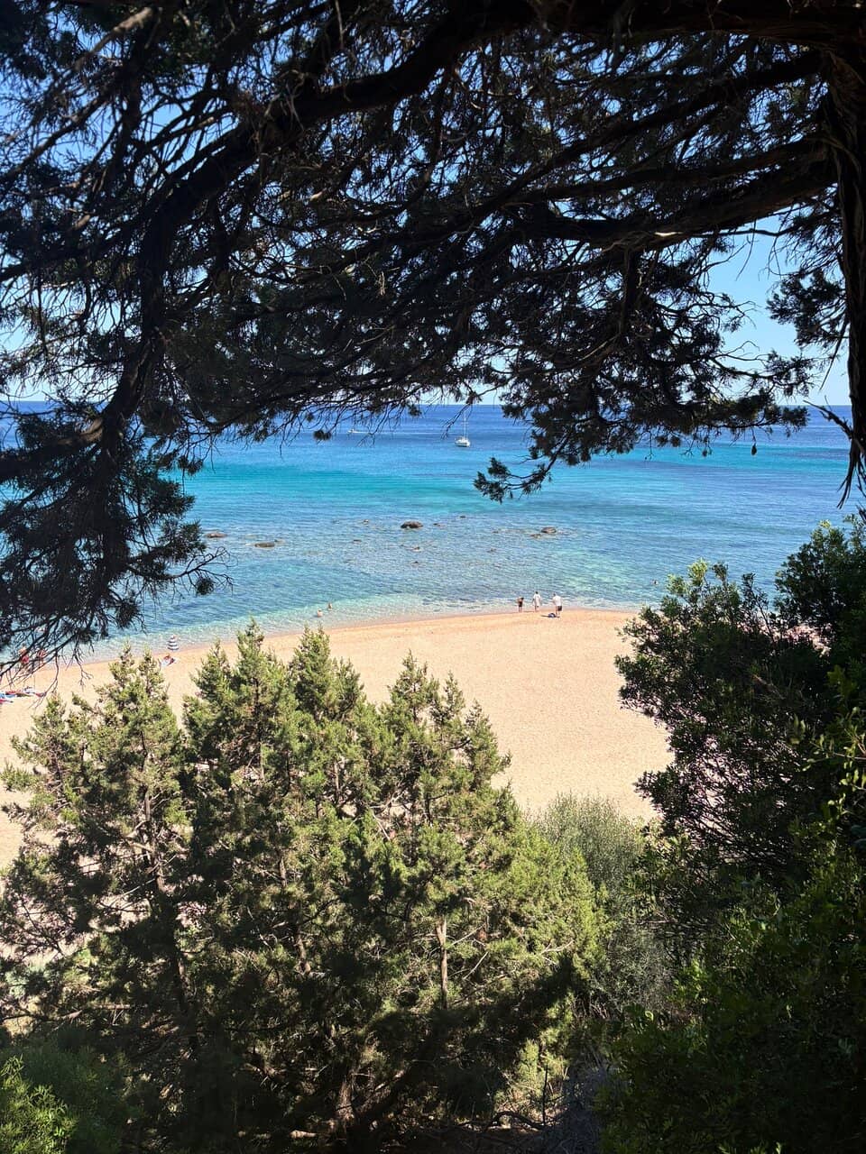 Dramatic Cliff Backdrop