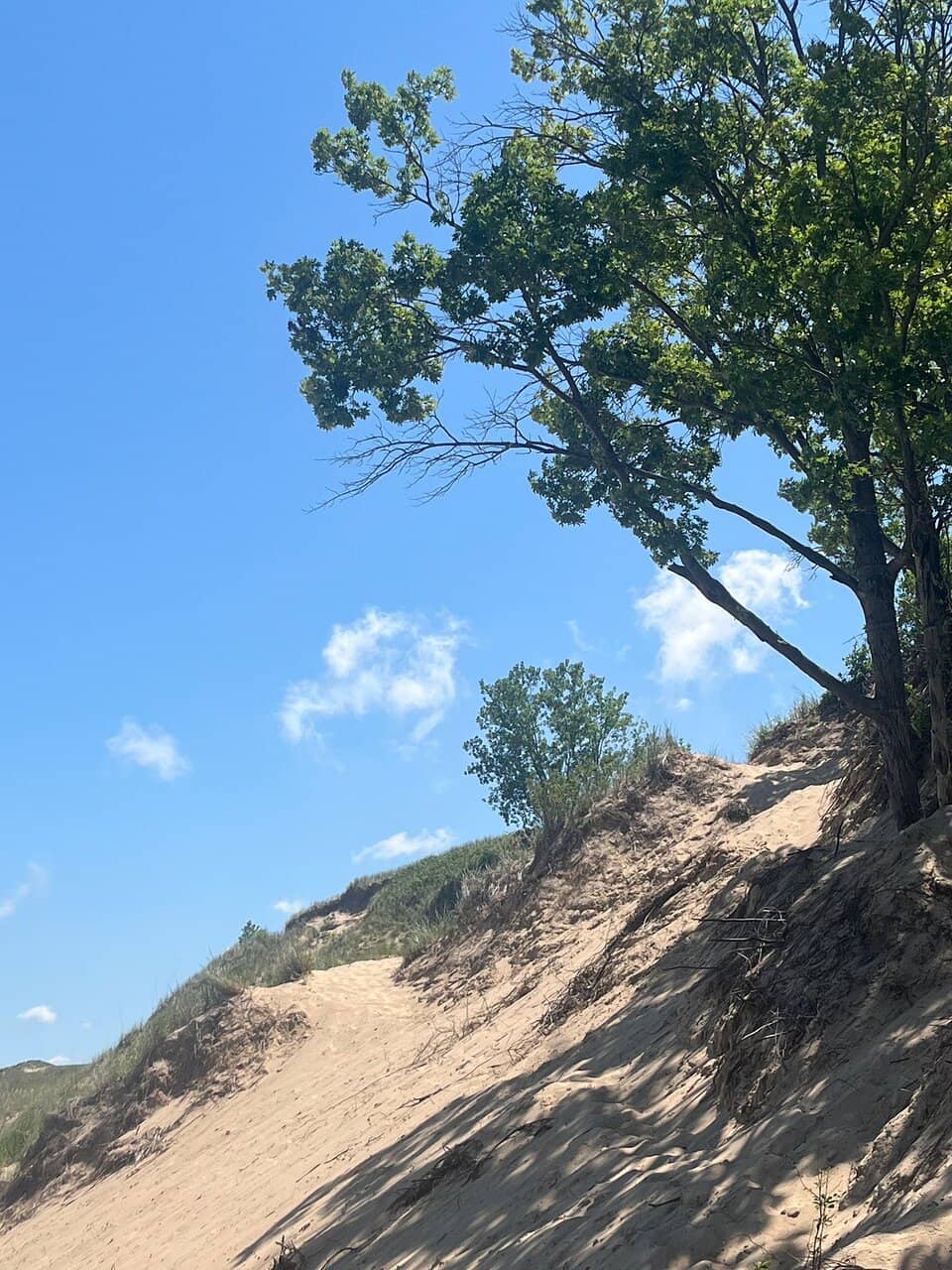 Year-Round Beach Access