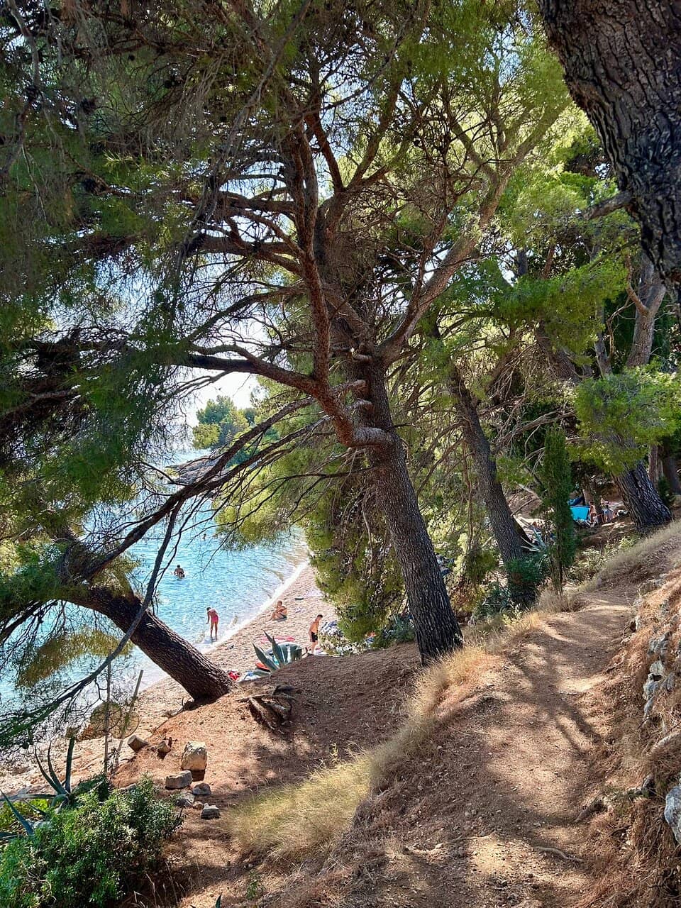 Shaded Right Beach with Amenities