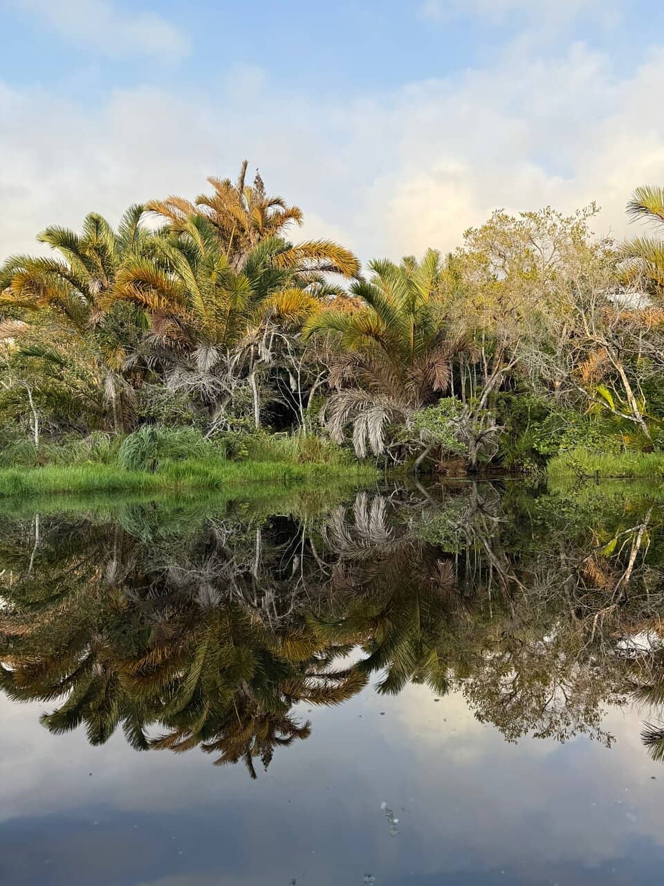 Tranquil River Views