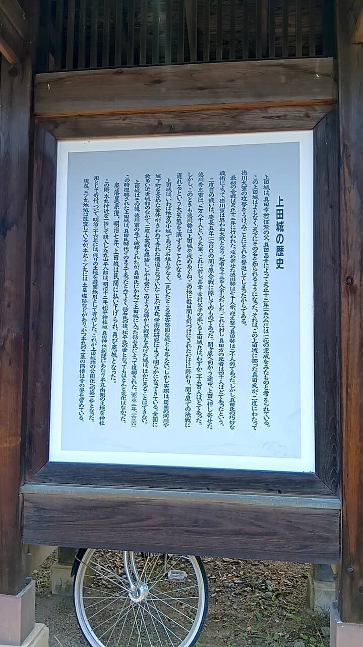 Torii Gates and Charms