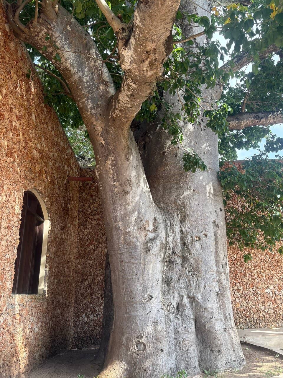 Vertical photo