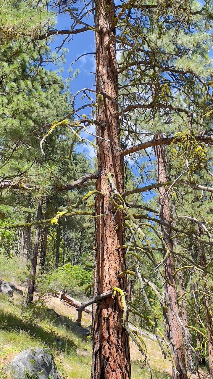 Panoramic Leavenworth Views