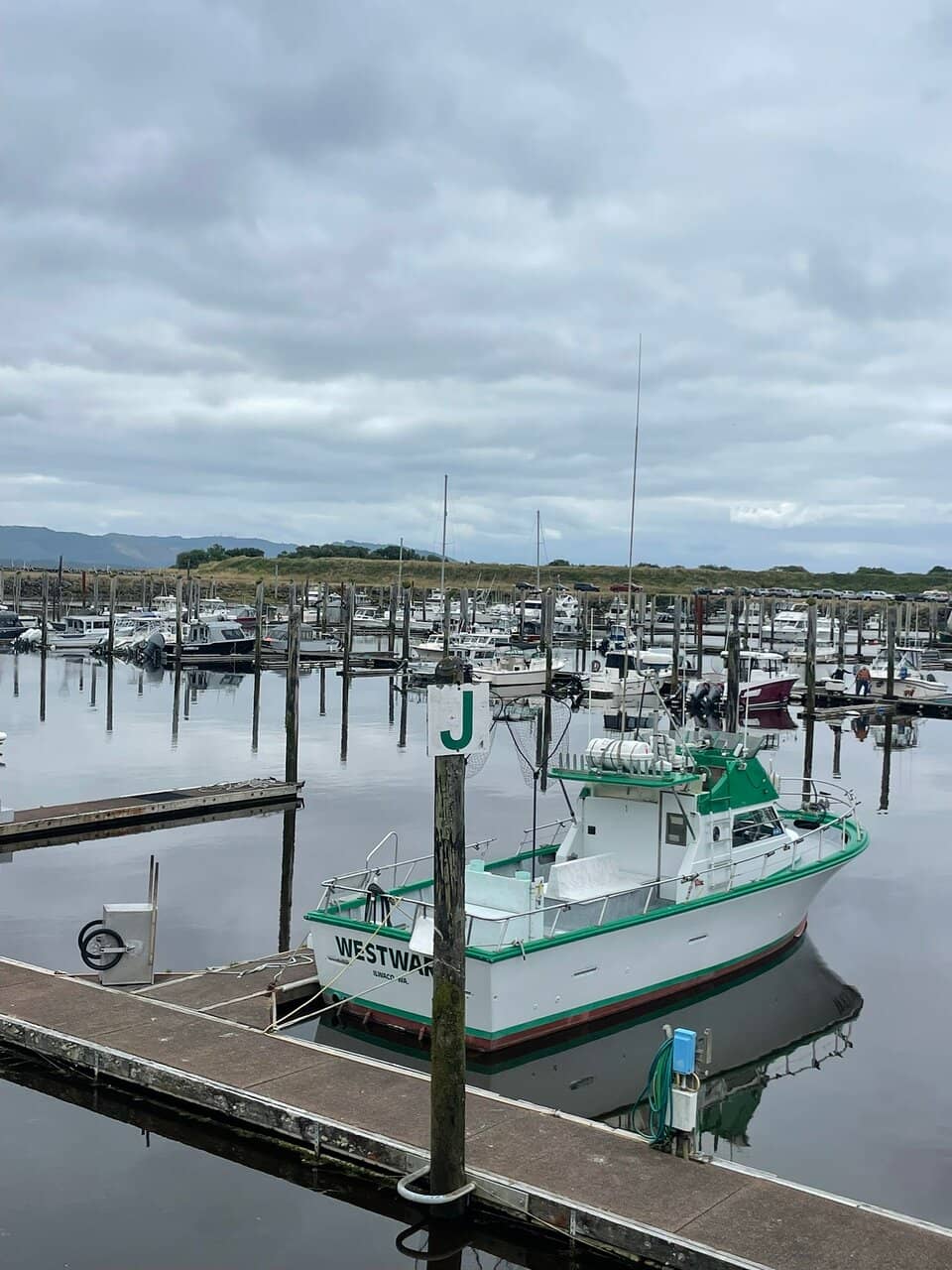 Local Art Galleries & Shops