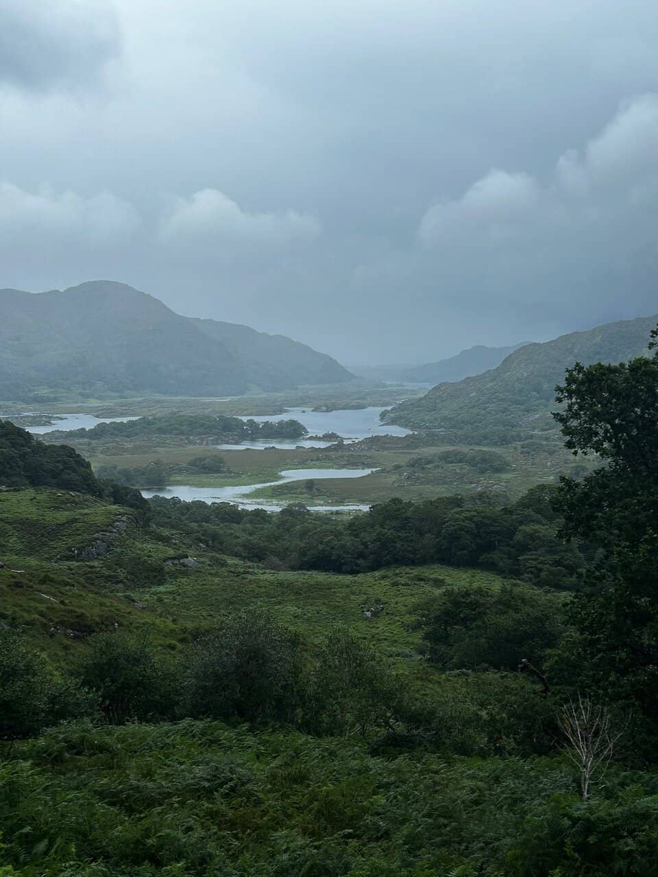 Panoramic Lake and Mountain Views