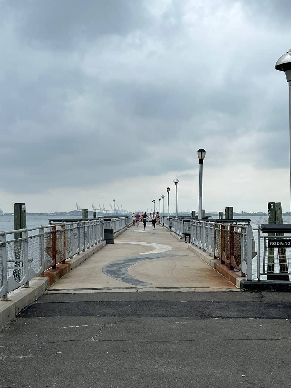 Statue of Liberty View