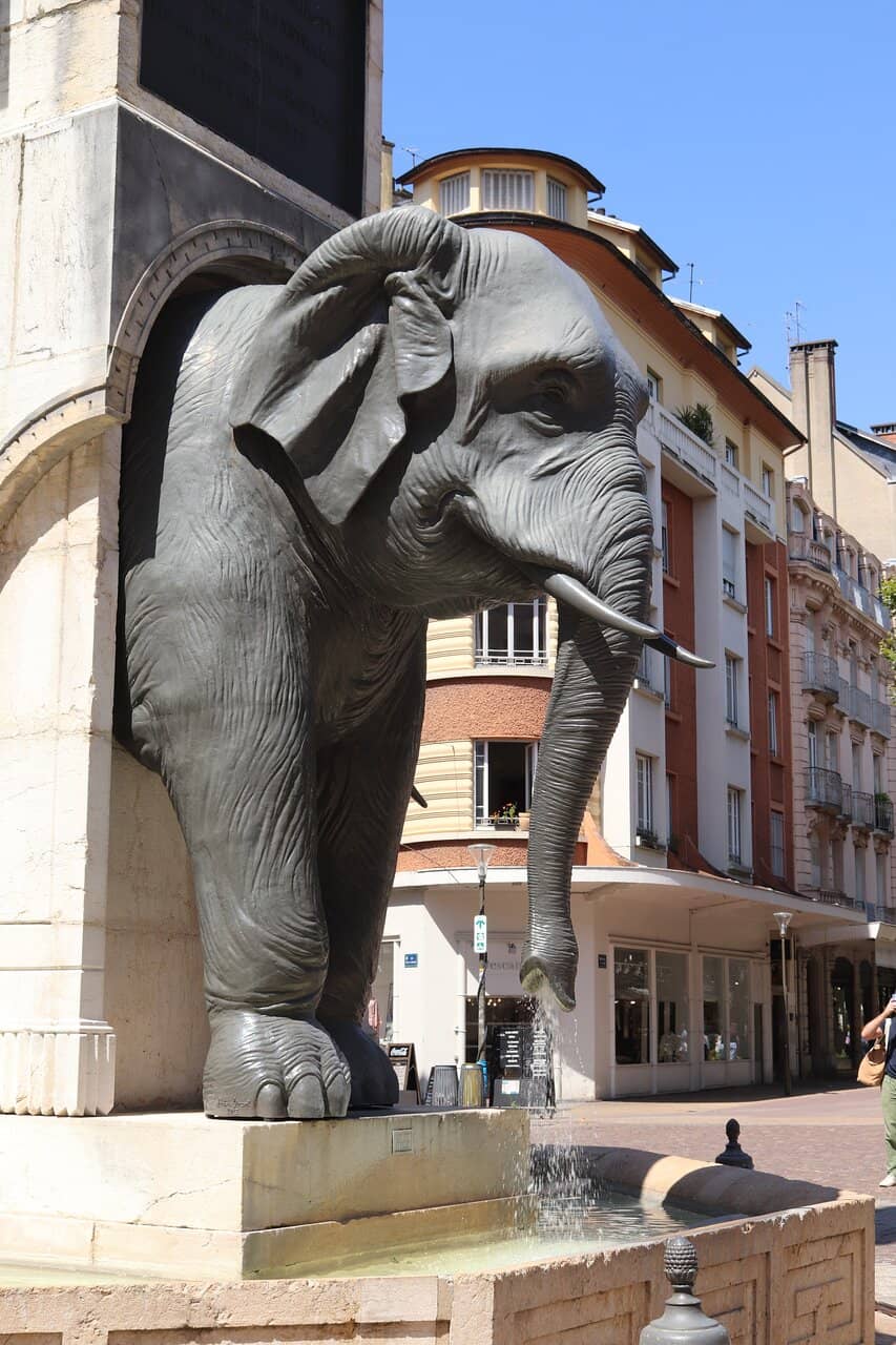 Mysuru Dasara Elephant Parade