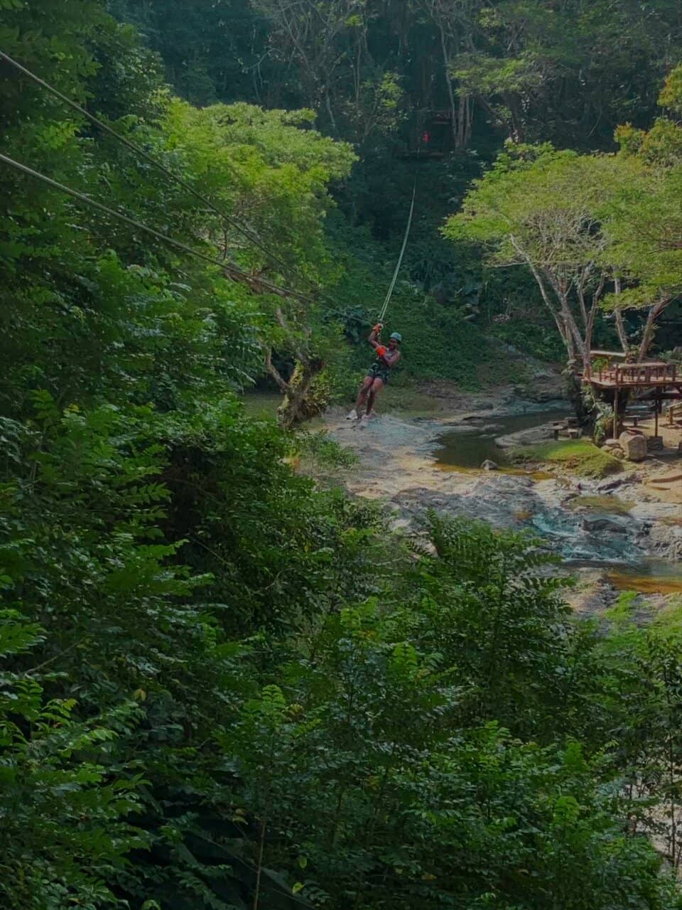 Thrilling Zipline Courses