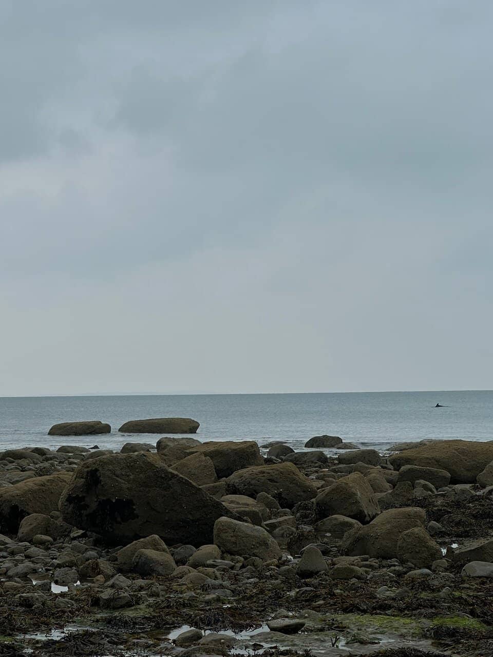 Criccieth West Beach