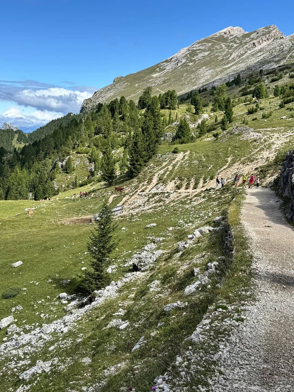 360° Dolomite Panorama