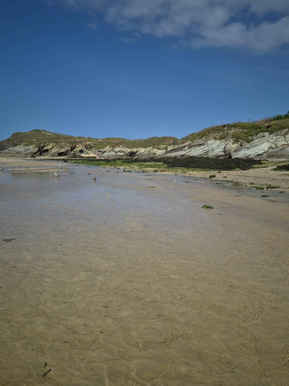 Rock Pool Discoveries