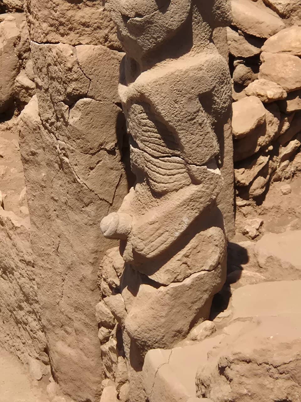 Vertical photo
