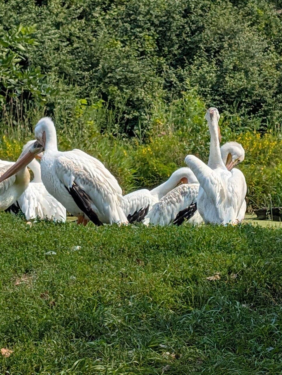Walking Trails & Exhibits