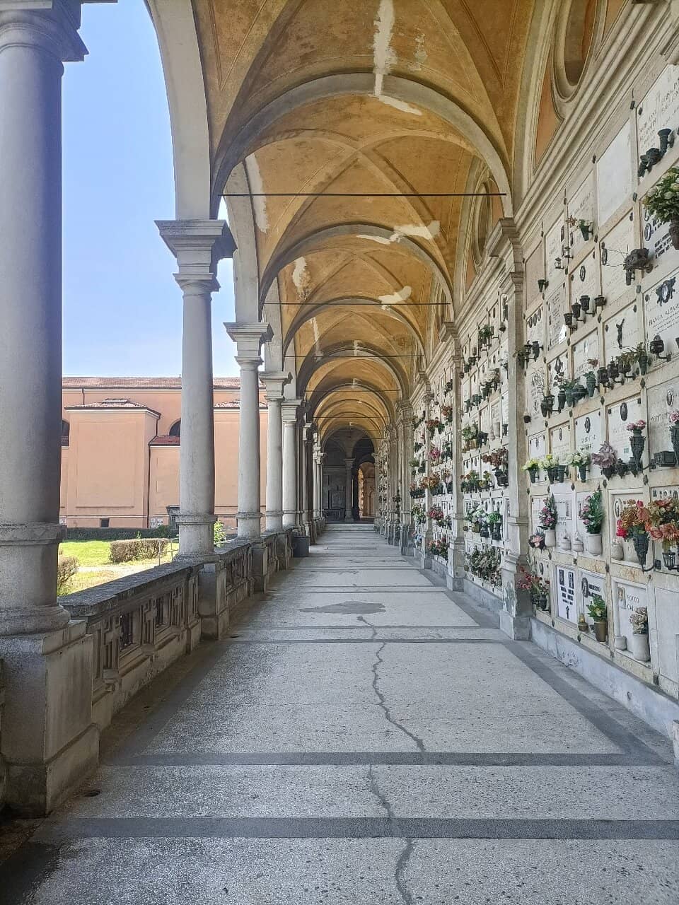 Vertical photo