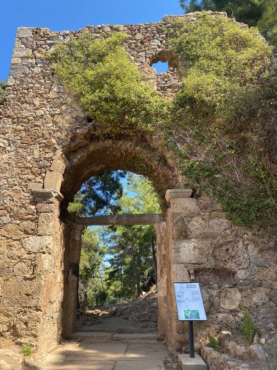 Vertical photo