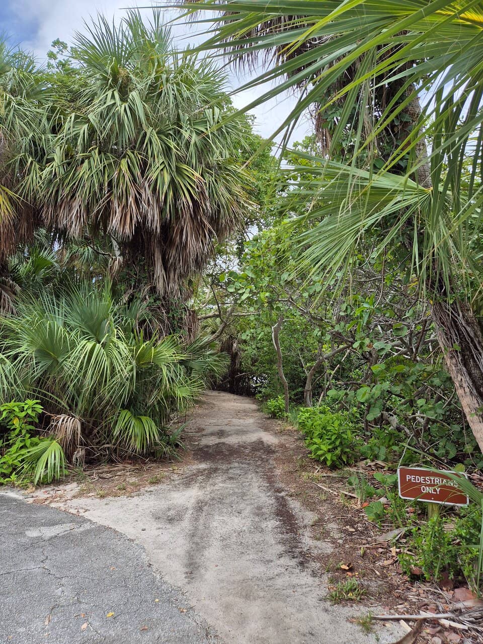Nature Center