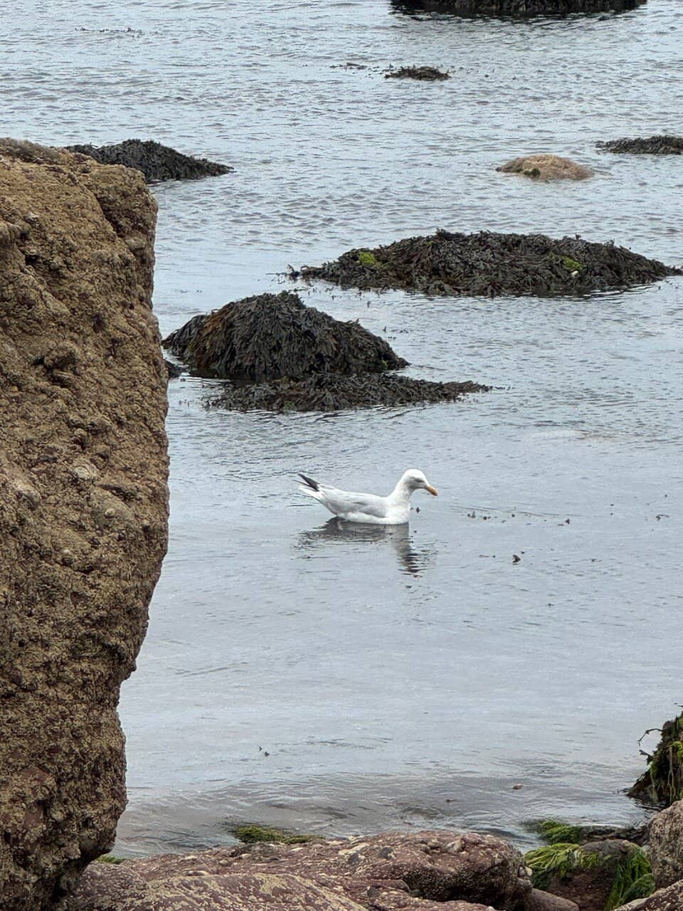 Shaldon Smugglers Tunnel