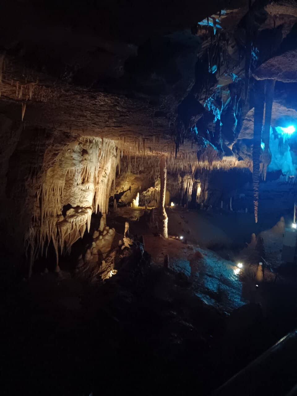 Fascinating Discovery History