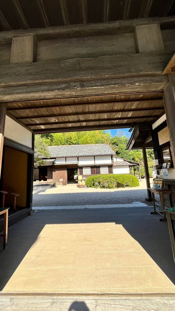 Tranquil Japanese Garden