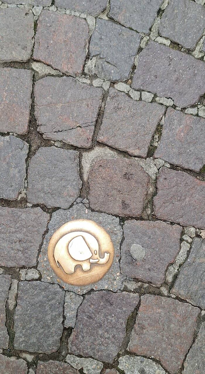 Chobe National Park Elephants