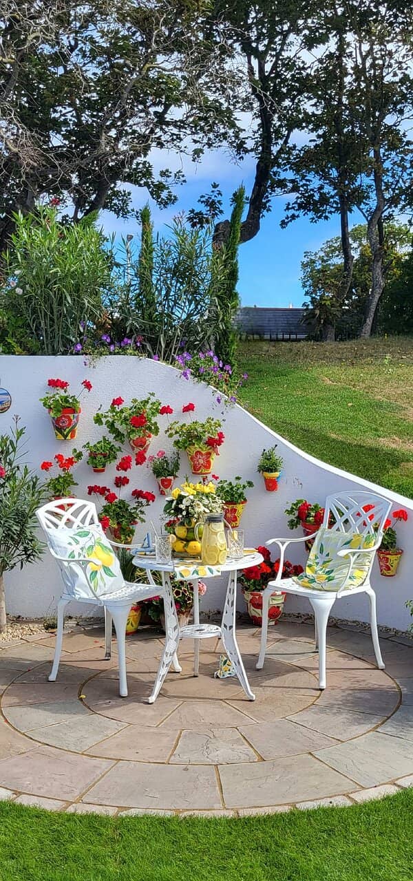 Cosmos Flower Displays