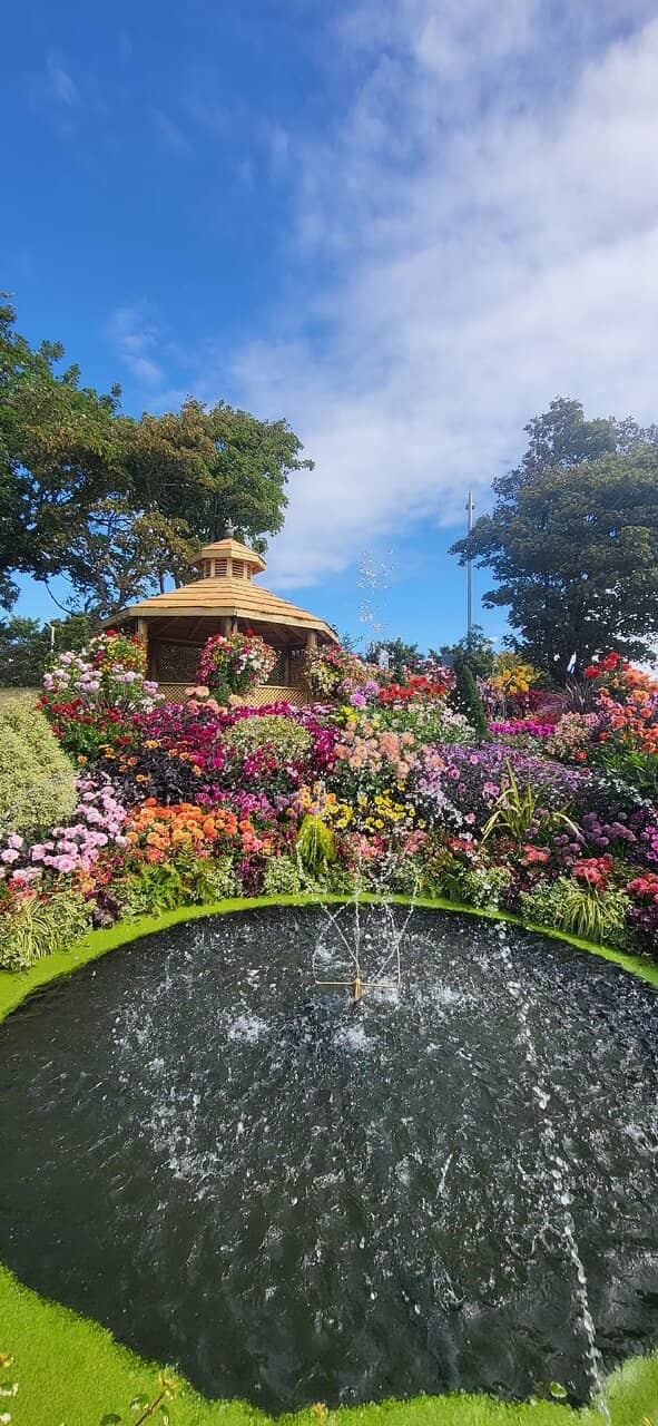 Gardening Demonstrations