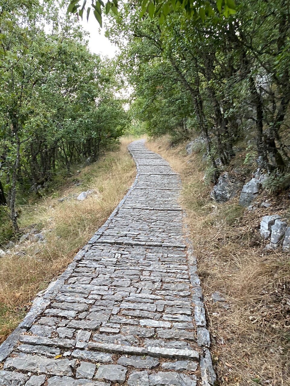 Oxya Viewpoint Vikos Gorge