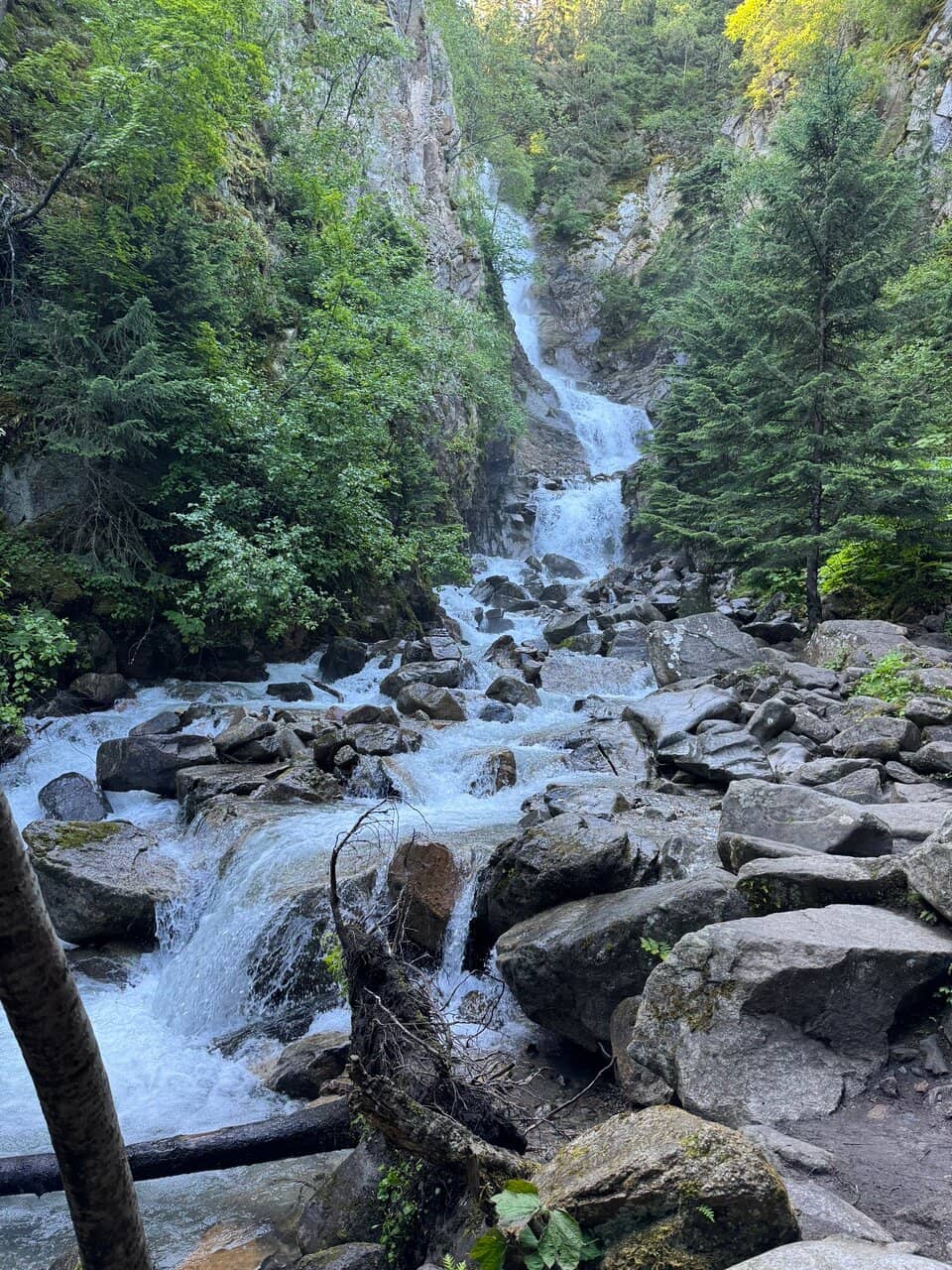 Vertical photo