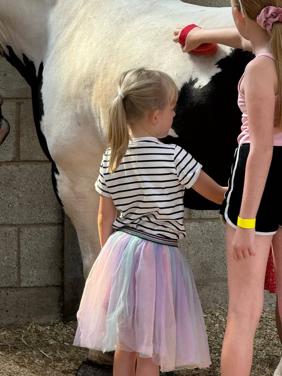 Delicious Homemade Cakes