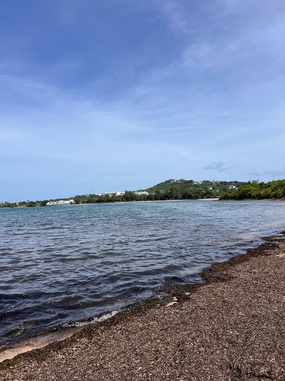 Vibrant Sand and Crystal Waters