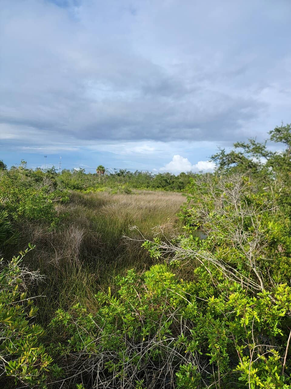 Abundant Wildlife Sightings