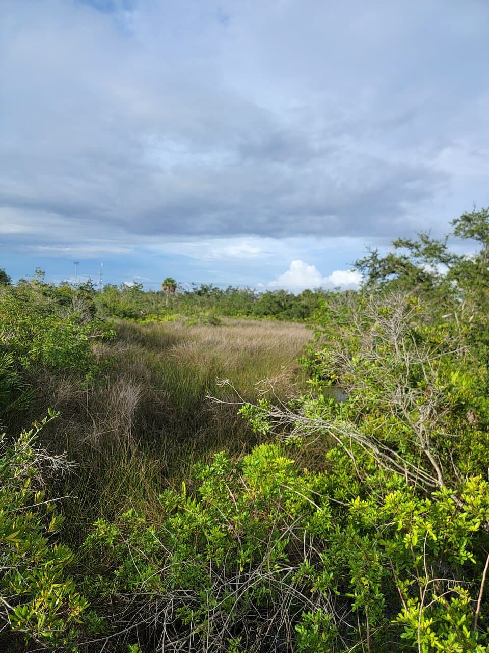 Tippecanoe Environmental Park
