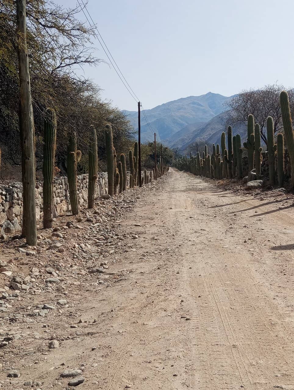 High-Altitude Terroir