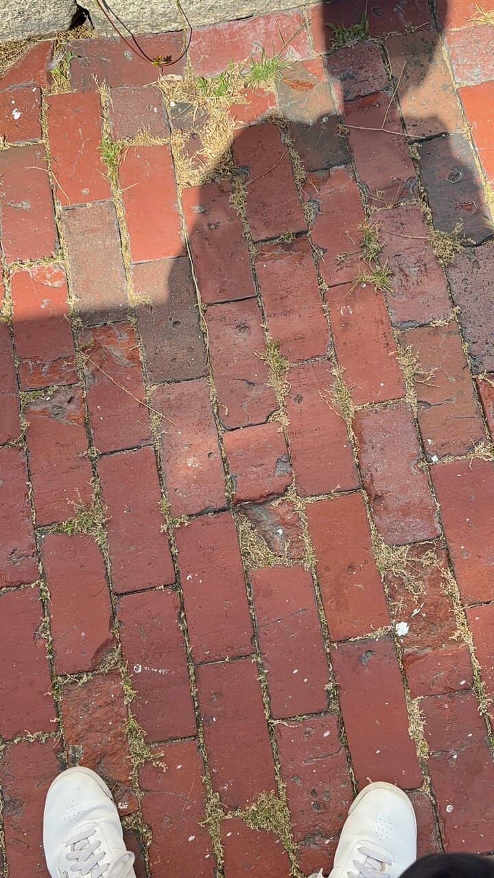 Vertical photo