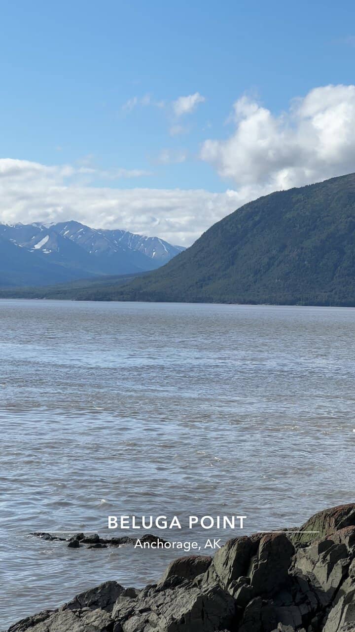 Beluga Whale Watching