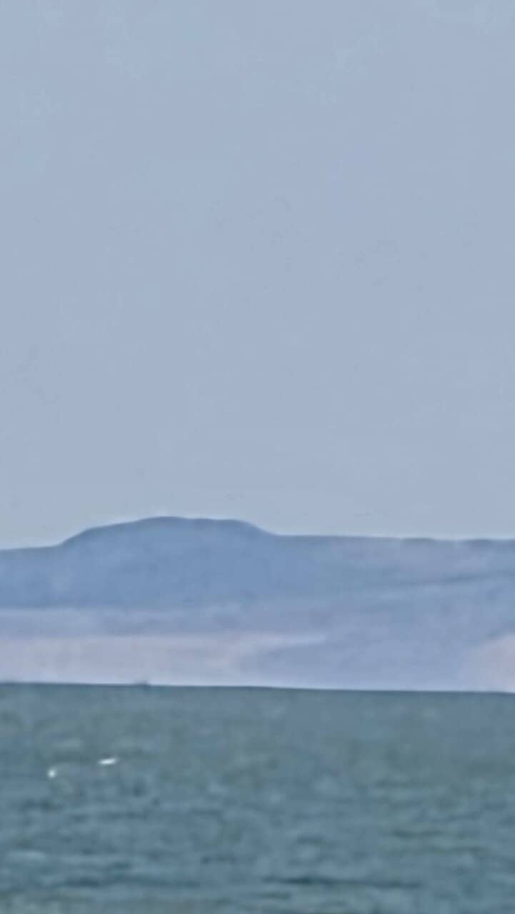 Diverse Flora and Fauna