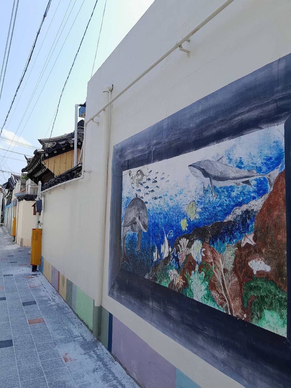 Scenic Walking Paths