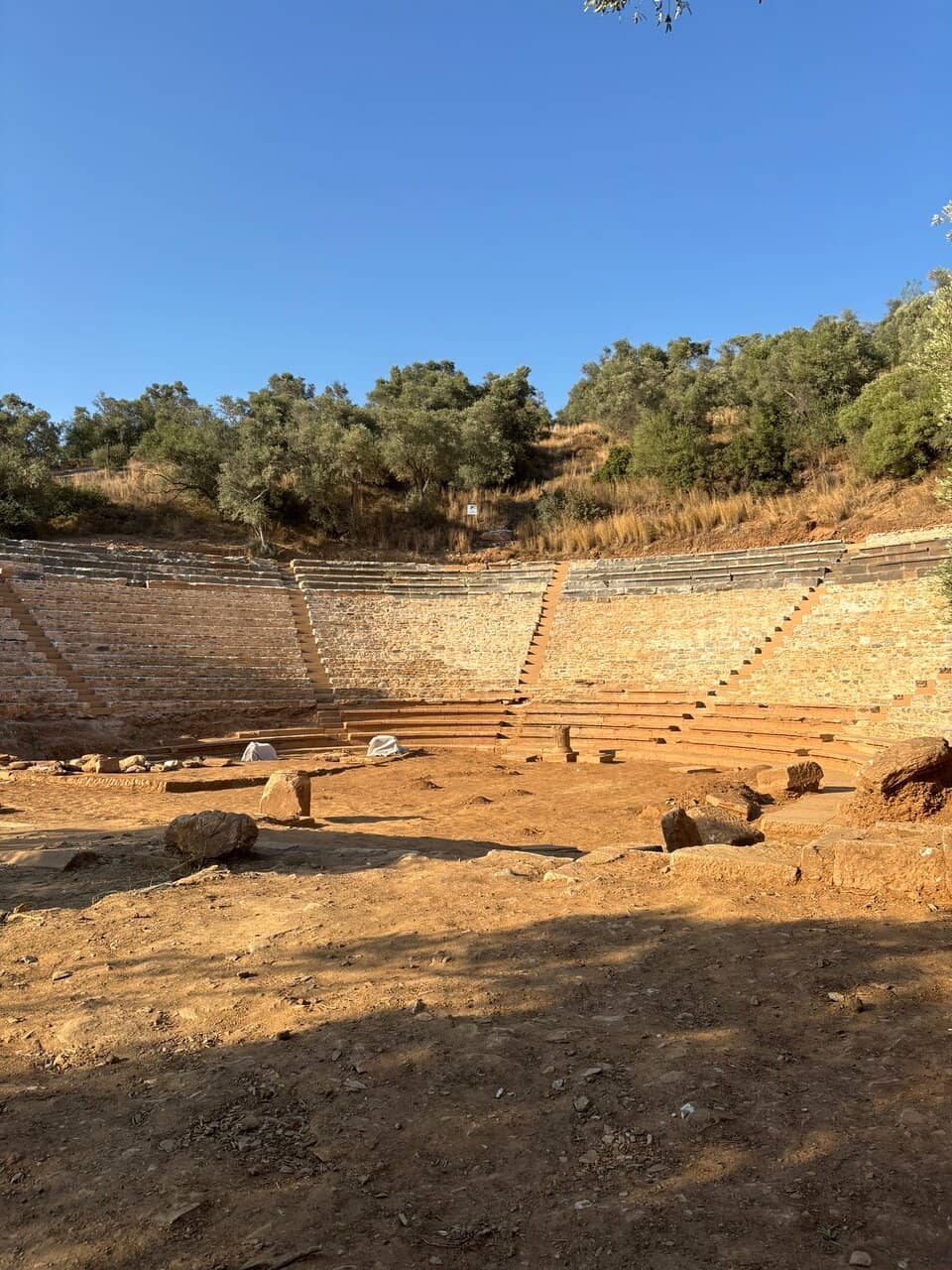 Restoration in Progress