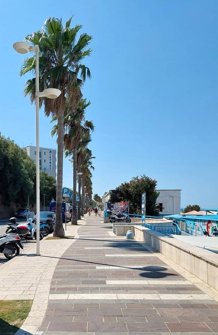 Vibrant Sunset Skies