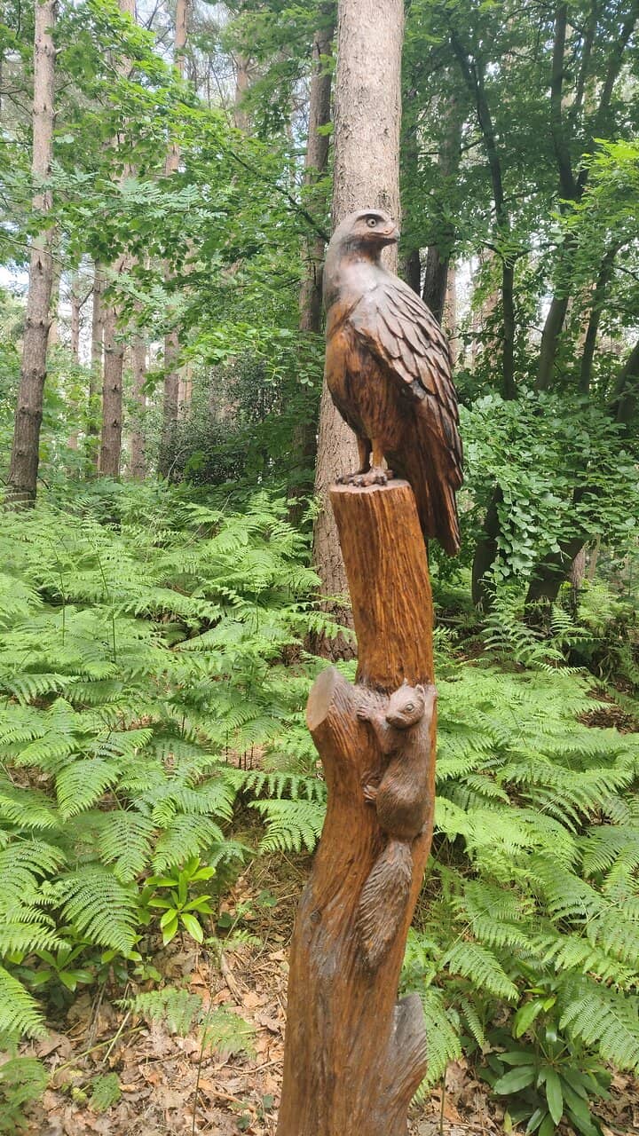 Wood Carvings