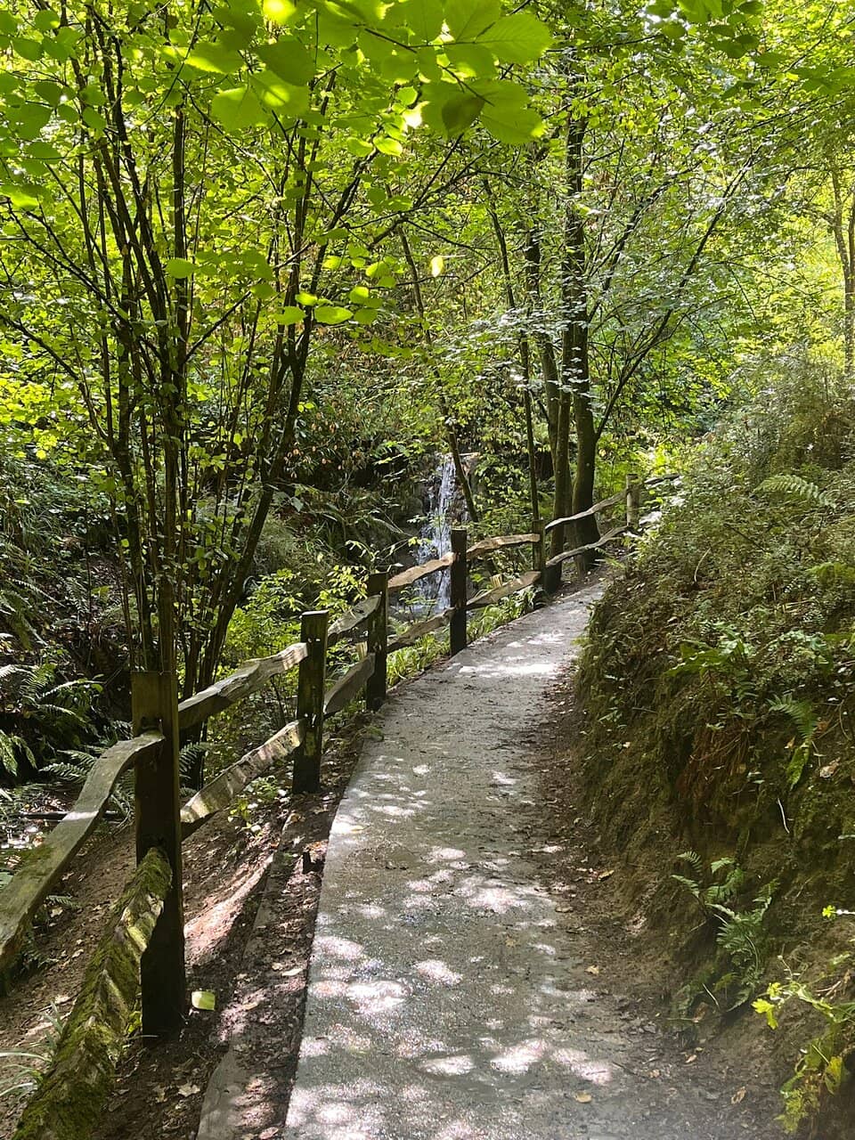 Adventure Playground