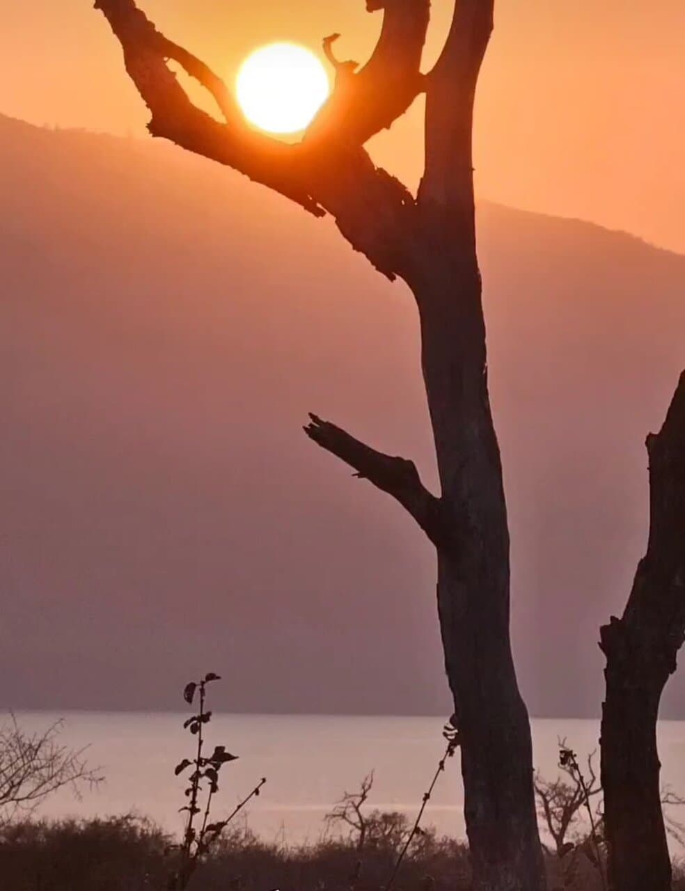 Rhino and Lion Nature Reserve Johannesburg