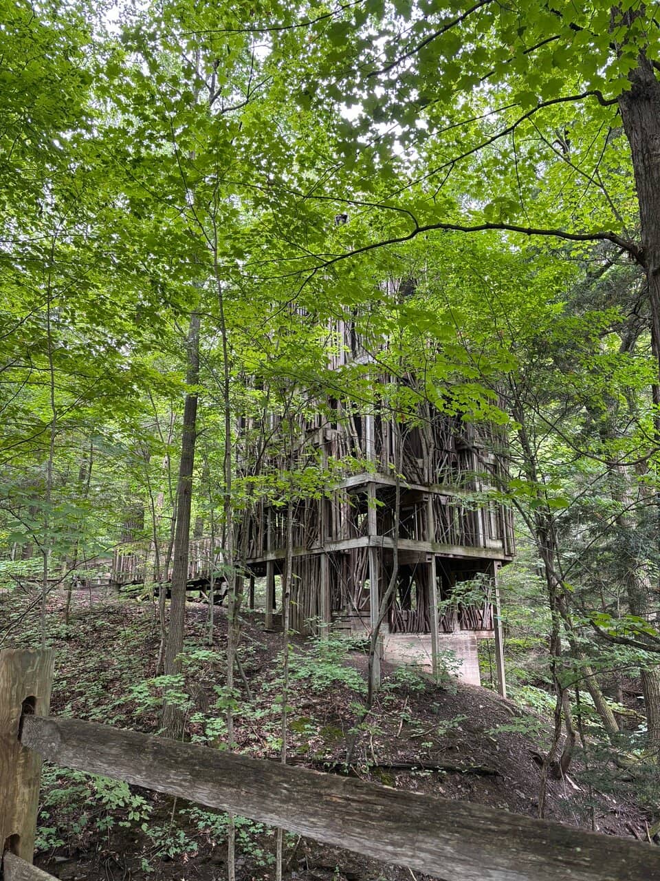 Nature Trails