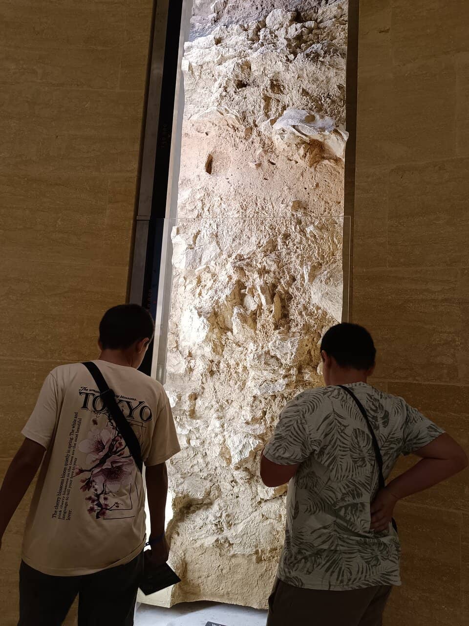 Life-Size Prehistoric Animal Reconstructions