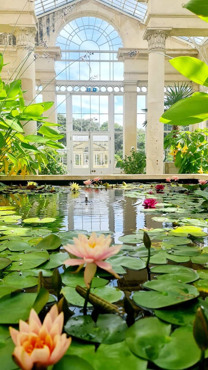 The State Rooms