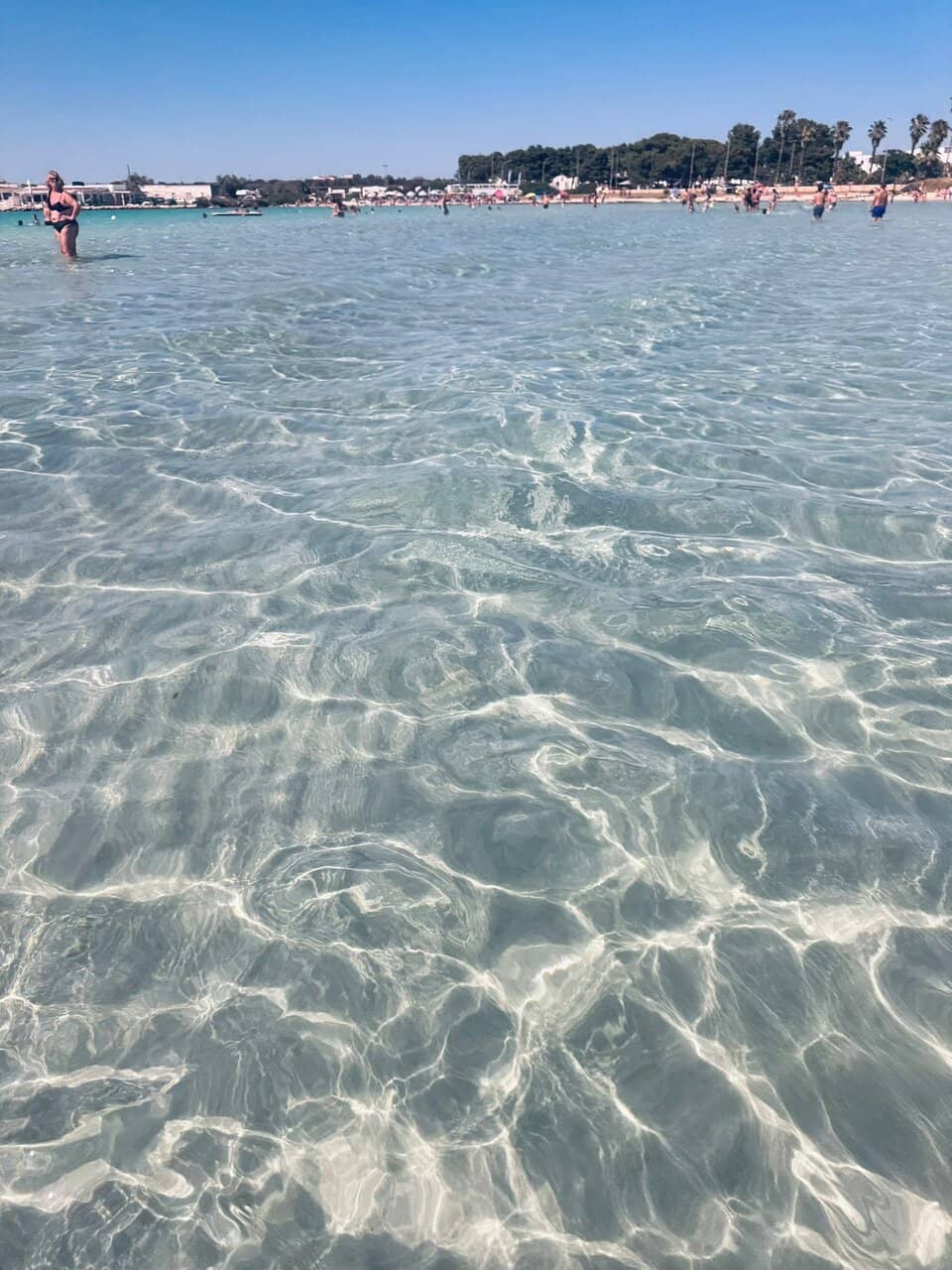 Natural Shade and Relaxation