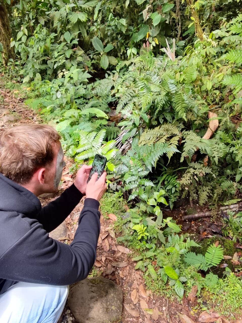Medicinal Plant Discoveries
