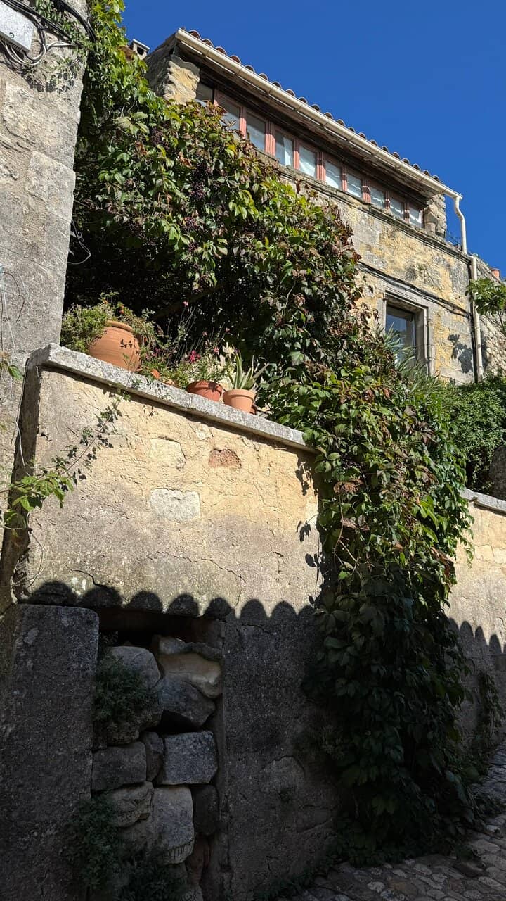 Vertical photo